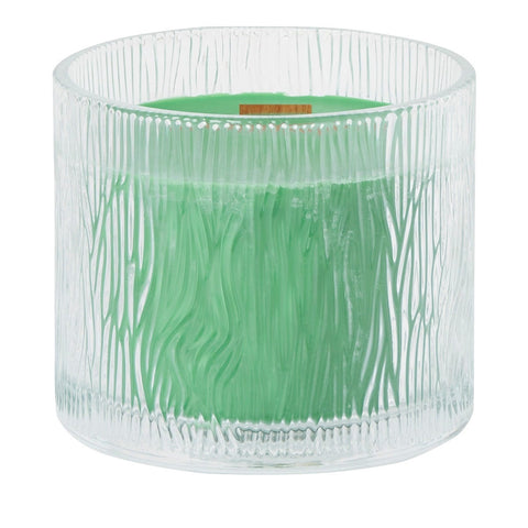 PartyLite Nature's Light Large Round Jar Boxed Candle w/ Crackling Wooden Wick EVERGREEN FIR