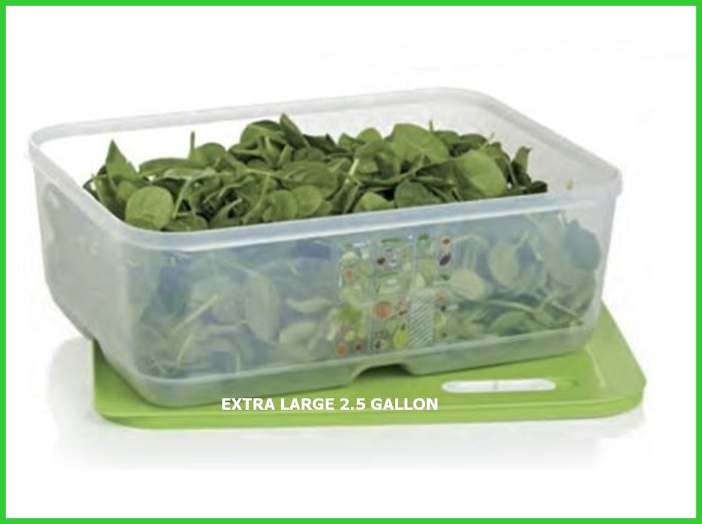 FridgeSmart Tupperware Review « The Wisconsin Vegetable Gardener