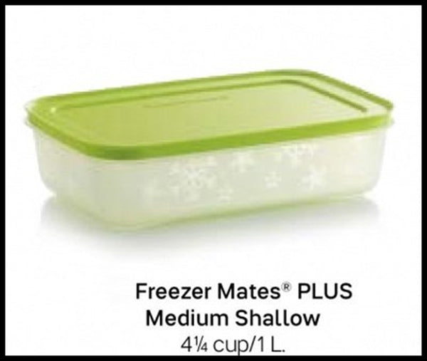 TUPPERWARE FREEZER MATES PLUS SNOWFLAKE STORAGE CONTAINER MED SHALLOW SALSA SEAL 4.25-C