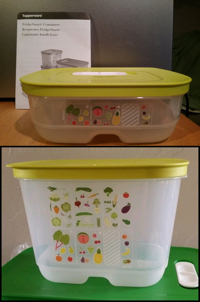 FridgeSmart® Pequeño - Tupperware US