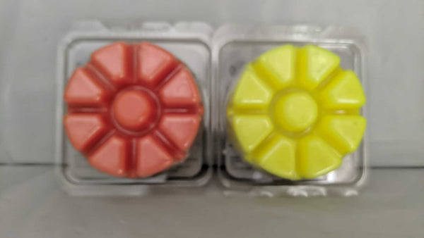 PartyLite  2 - 9 Pc Round Scent Plus Wax Melt Packages Hocus Pocus & Spiced Pumpkin Melts - Plastic Glass and Wax ~ PGW