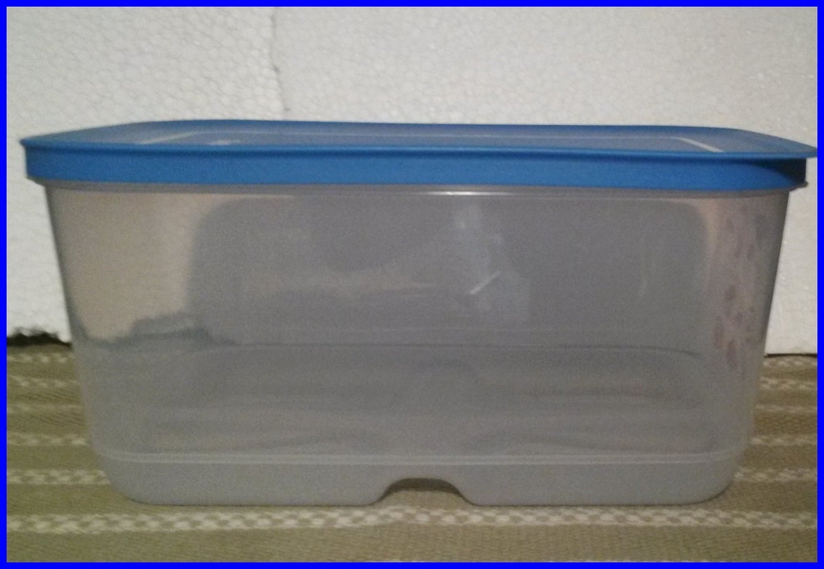 TUPPERWARE SURF 'N TURF FridgeSmart MEDIUM DEEP Storage Container Keep ...
