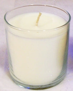 PartyLite ORIGINAL ESCENTIAL Round Wax Filled Jar Candle ICED SNOWBERRIES WHITE