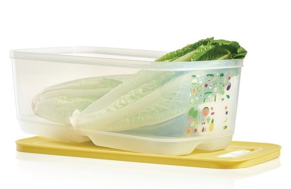 TUPPERWARE Sheer FridgeSmart Mini Storage Container Keeper Salsa Verde / Snow White Seal - Plastic Glass and Wax