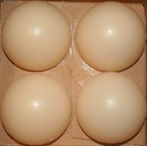 PARTYLITE 4 BXS 16 SCENT PLUS MELTS ROUND AROMA WAX FRAGRANCE HOLIDAY SPICE