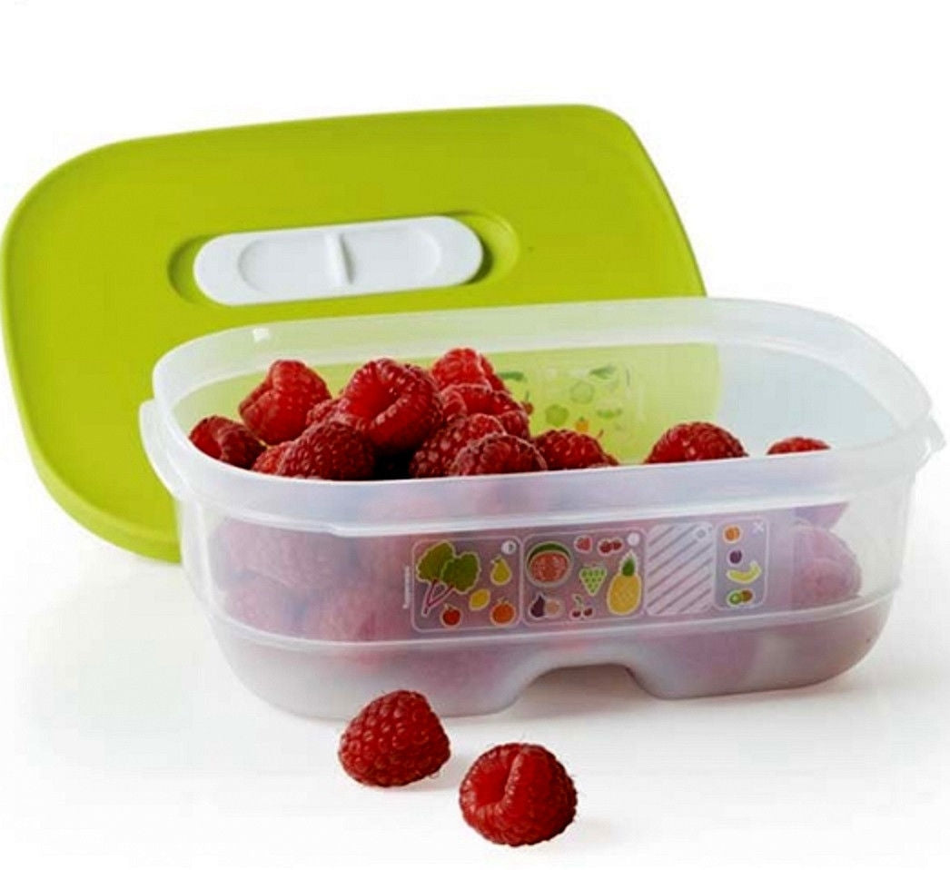 TUPPERWARE Sheer FridgeSmart Mini Storage Container Keeper Salsa Verde / Snow White Seal - Plastic Glass and Wax